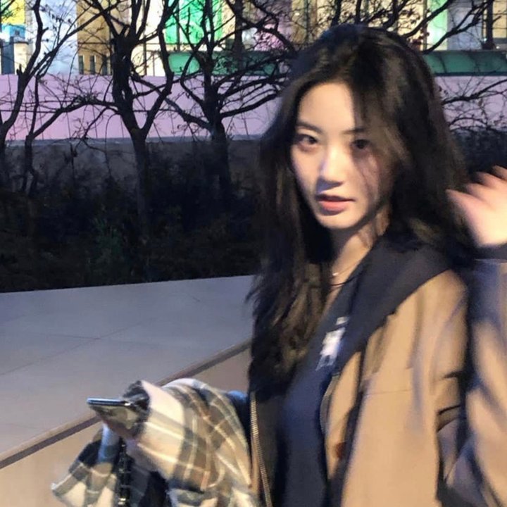 捕风追影