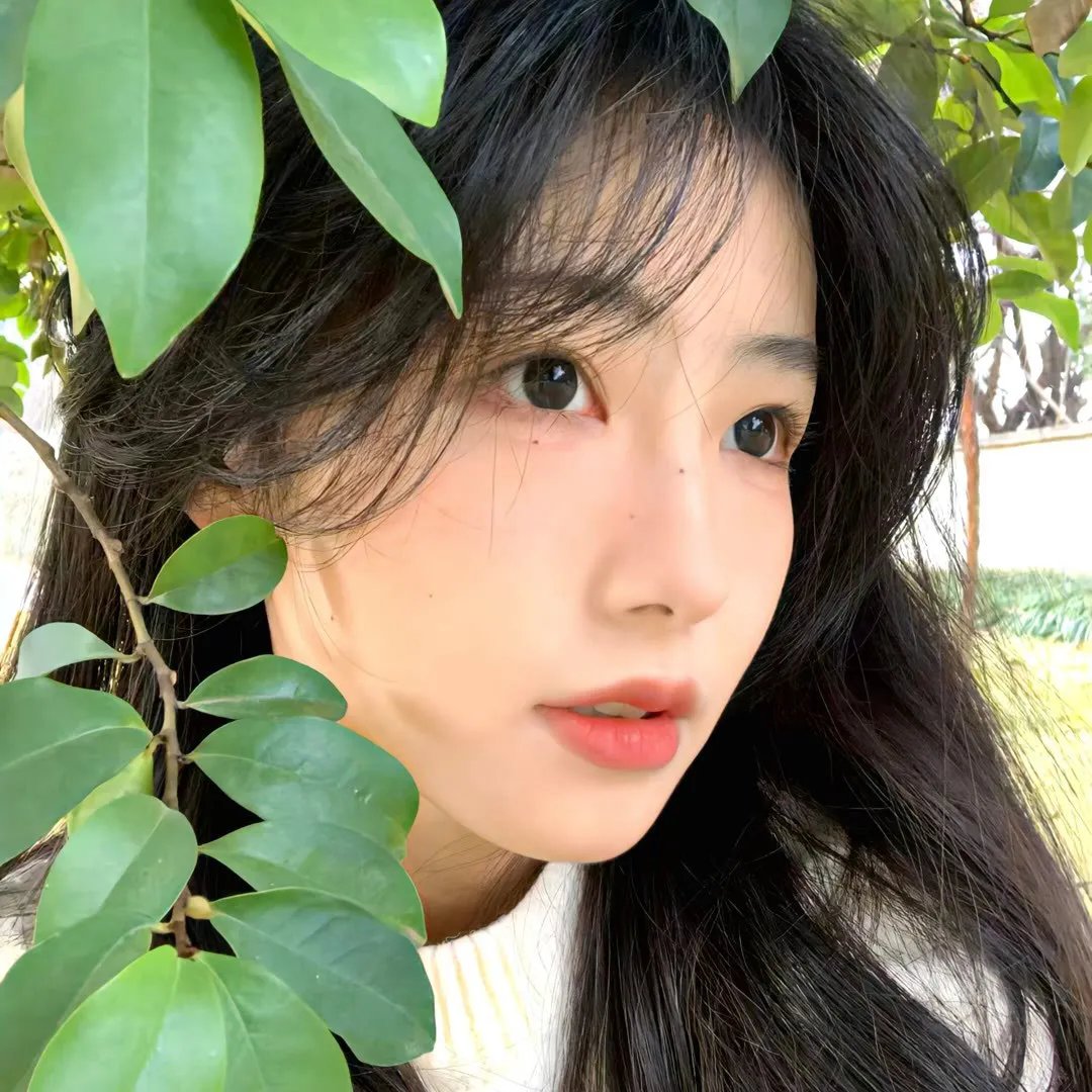惹不起的殿下大人